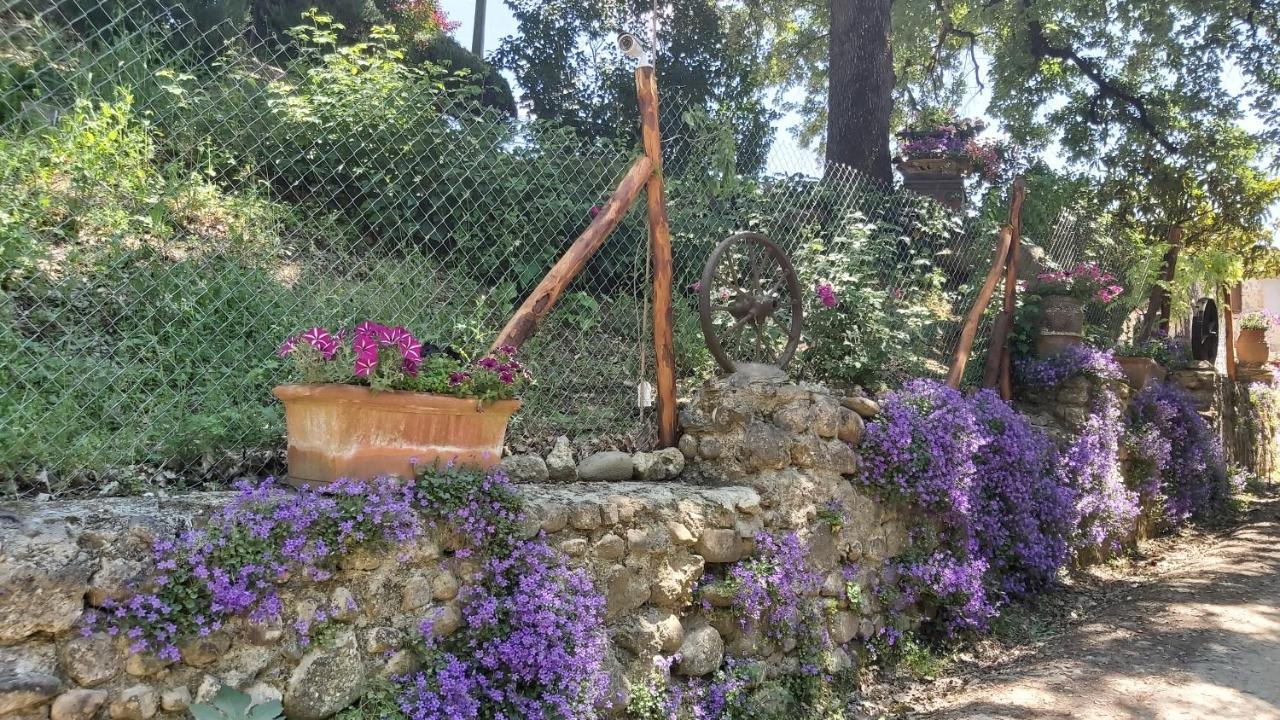מונטריג'יוני La Limonaia Country House מראה חיצוני תמונה